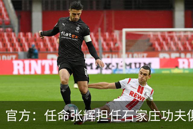 官方：任命张辉担任石家庄功夫俱乐部总经理，袁野担任副总经理